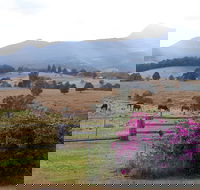 The Barn  House Farm Stay at Possum Manor - Tourism Adelaide