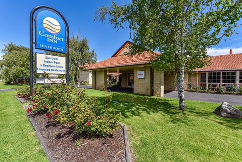 The Henty - Tourism Adelaide 1