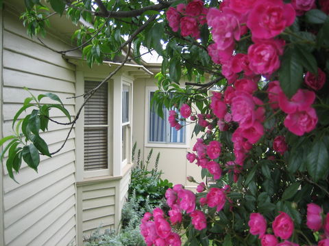Valley Views Bed And Breakfast - Tourism Adelaide 0