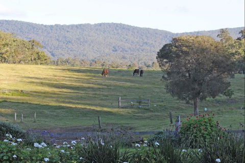 Wallaby Cottage - Tourism Adelaide 0
