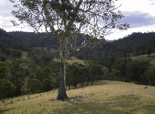 Yasuragi Cabins - Tourism Adelaide 1