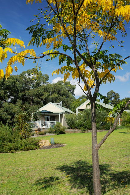 Stringybark Cottages - Tourism Adelaide 2