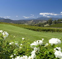 Balgownie Estate Vineyard Resort and Spa - Tourism Adelaide