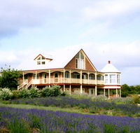 Serendipity Lavender Farm - Tourism Adelaide