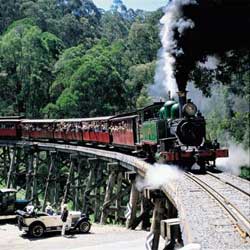 Yuulong Bed And Breakfast - Tourism Adelaide 5