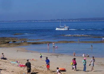 QueenscliffeTourist Park - Tourism Adelaide 0