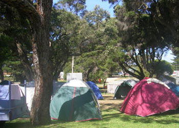 QueenscliffeTourist Park - Tourism Adelaide 2