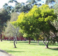 Otways Tourist Park - Tourism Adelaide