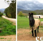 Emerald Park Holiday Farm - Tourism Adelaide