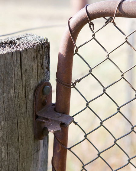 Mount Pleasant Homestead - Tourism Adelaide 2