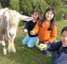 Johanna River Farm and Cottages - Tourism Adelaide