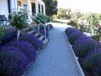 Canadian Lodge - Tourism Adelaide 3