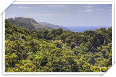 Chris's Beacon Point Restaurant And Villas - Tourism Adelaide 3