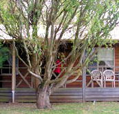 BIG4 Ballarat Windmill Holiday Park - Tourism Adelaide