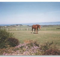 First Class Bed and Breakfast - Tourism Adelaide