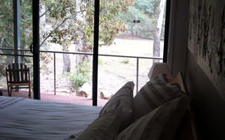 Glengarriff Town Houses - Tourism Adelaide 0