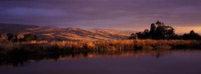 Wombat Hills Cottages - Tourism Adelaide 3
