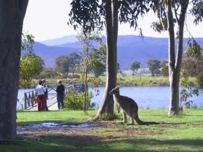 Wombat Hills Cottages - Tourism Adelaide 4