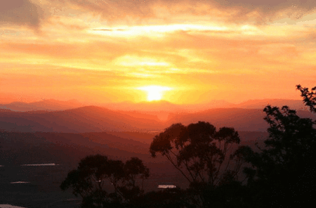 Avocado Sunset - Tourism Adelaide