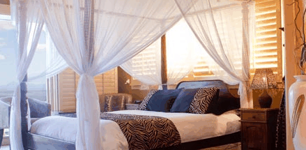 Avocado Sunset - Tourism Adelaide 2