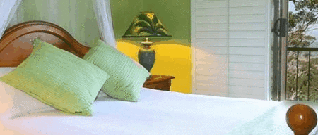 Avocado Sunset - Tourism Adelaide 3