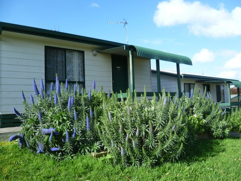 Mt View Motel - Tourism Adelaide 6