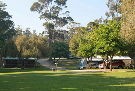 A Wangralea Caravan Park - Tourism Adelaide 3
