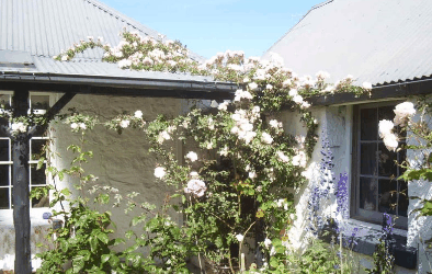 Orford Sanda House B&B - Tourism Adelaide 1