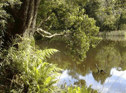 Weldborough Hotel - Tourism Adelaide