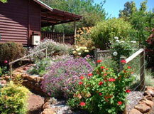 Chestnut Brook Cottage - Tourism Adelaide 0