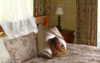 Wallaby Ridge Retreat - Tourism Adelaide 1