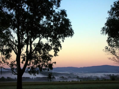 Bluebush Estate - Tourism Adelaide 0