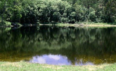Mystwood Retreats - Tourism Adelaide 5