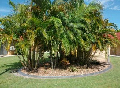 Yamba Motor Inn - Tourism Adelaide 5