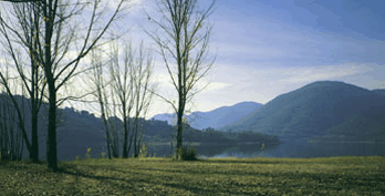 Ashton Townhouse Motel & Suites Tumut - Tourism Adelaide 3