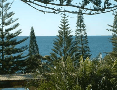 Next Seabreeze Beach Hotel - Tourism Adelaide 2
