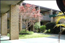 Amg Ryde Sydney - Tourism Adelaide