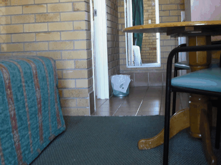Dragon  Phoenix Motel - Tourism Adelaide