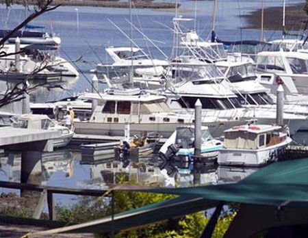 Soldiers Point Holiday Park - Tourism Adelaide 3