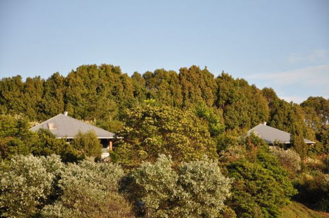 Tallaringa Views - Tourism Adelaide 0