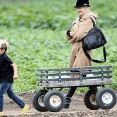 Perth City Farm Organic Markets - Tourism Adelaide 0