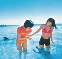 Kookaburra Air - Tourism Adelaide