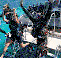 Snorkel Safari Brisbane - Tourism Adelaide