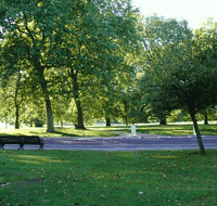 Roma Street Parkland - Tourism Adelaide