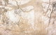 Dianne Tanzer Gallery & Projects - thumb 3