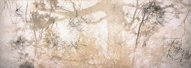 Dianne Tanzer Gallery & Projects - Tourism Adelaide 3