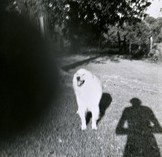 Fehily Contemporary - Tourism Adelaide 2