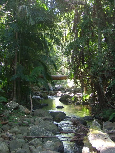 Thunderbird Park - Tourism Adelaide 2