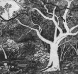 Tacit Contemporary Art - Tourism Adelaide