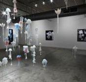 Nellie Castan Gallery